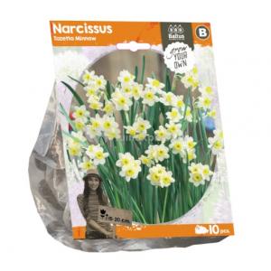 Baltus Narcissus Tazetta Minnow bloembollen per 10 stuks